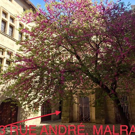 Appartement A 50 M De La Place Aux Herbes Uzès Zewnętrze zdjęcie