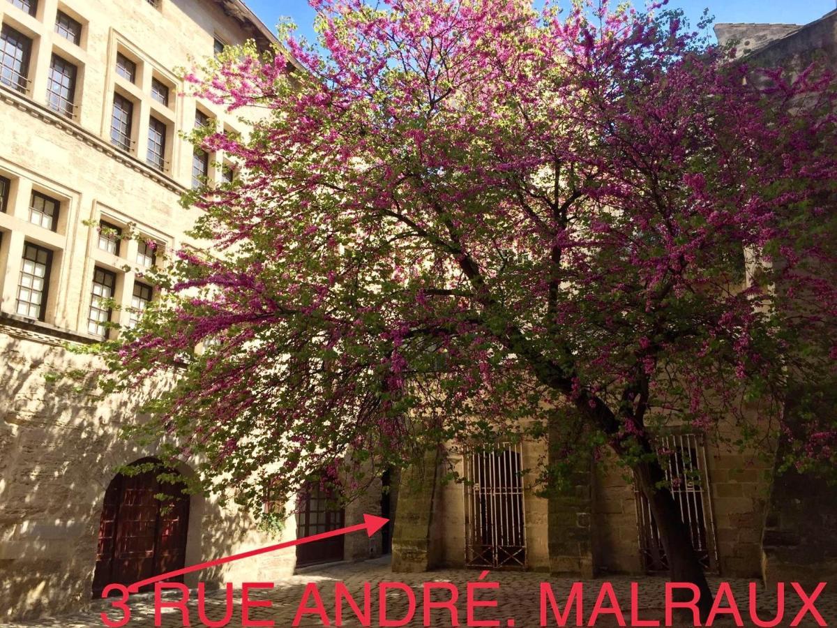 Appartement A 50 M De La Place Aux Herbes Uzès Zewnętrze zdjęcie