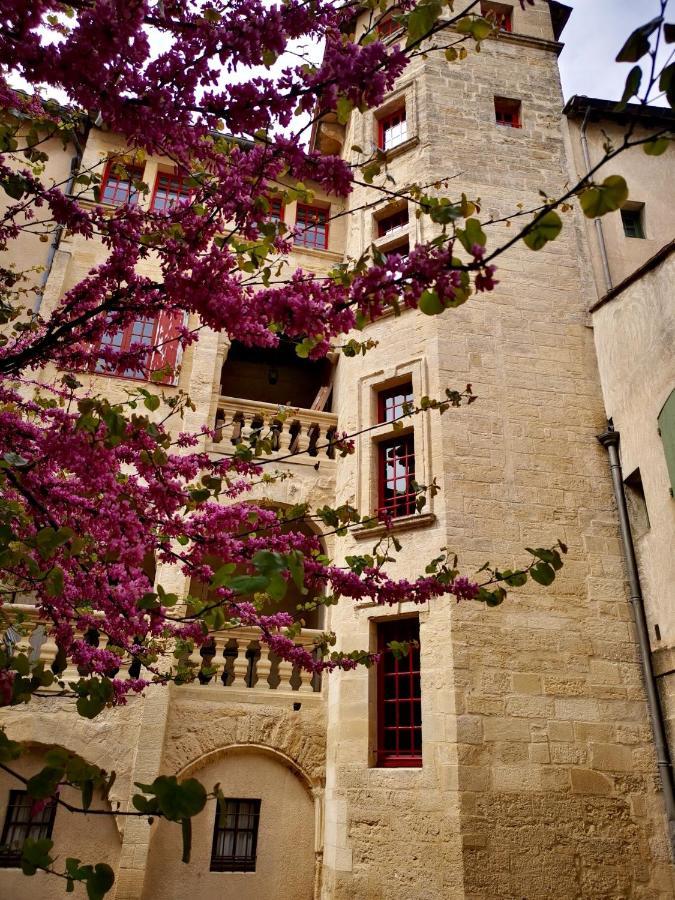 Appartement A 50 M De La Place Aux Herbes Uzès Zewnętrze zdjęcie